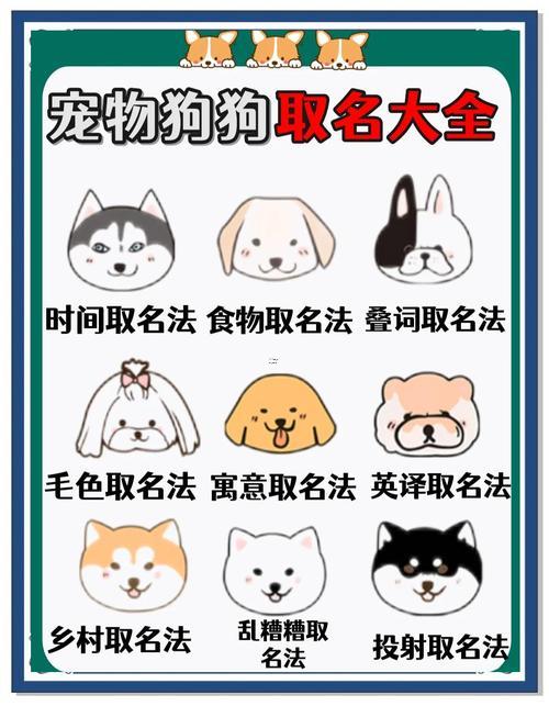 寵物狗名字