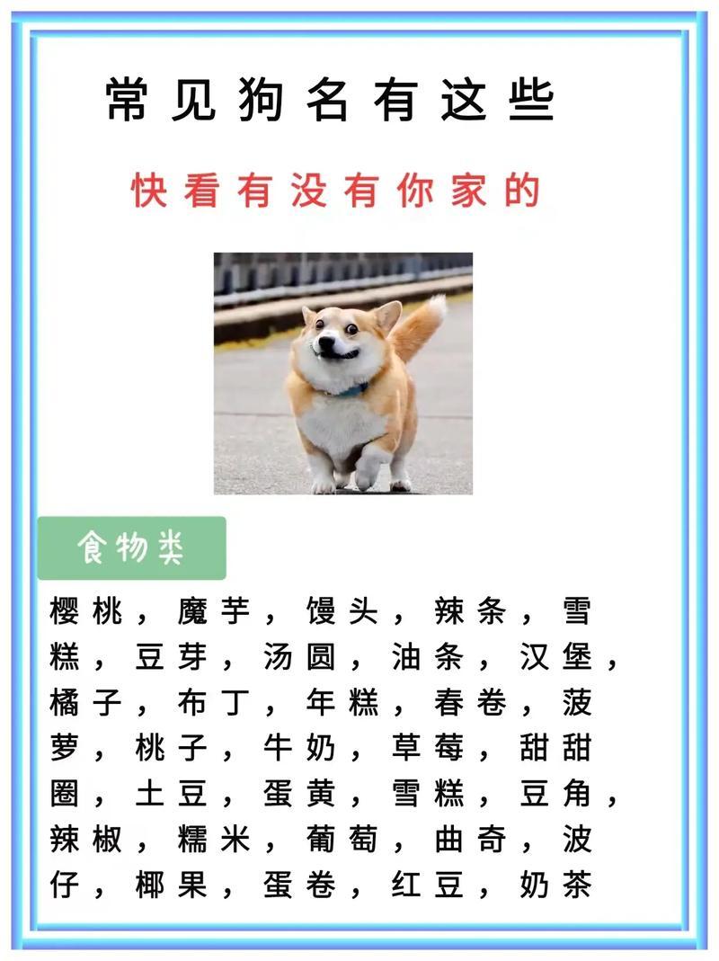 給狗狗起名字