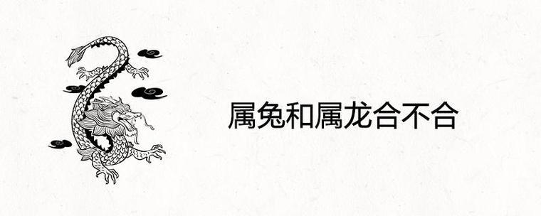 龍跟啥生肖最配