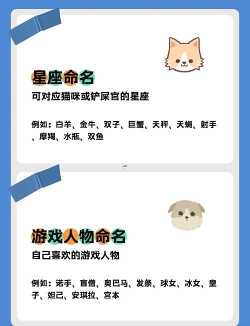炫舞好聽(tīng)的寵物名字