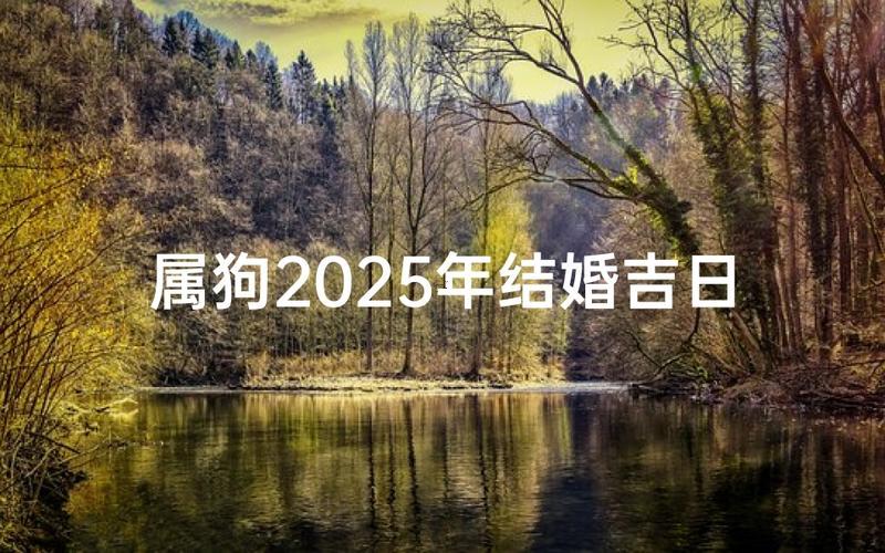 生肖屬狗2025年10月搬辦公室最旺吉日老黃歷